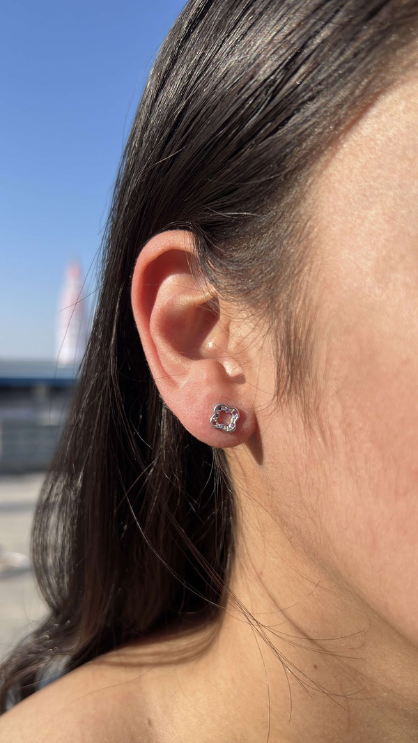 Clove Studs