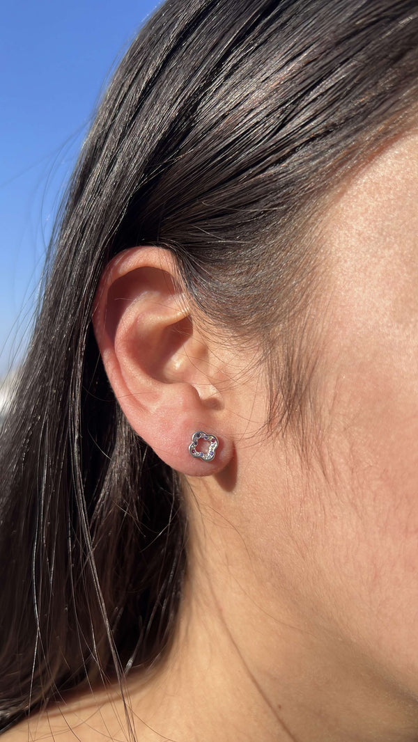 Clove Studs