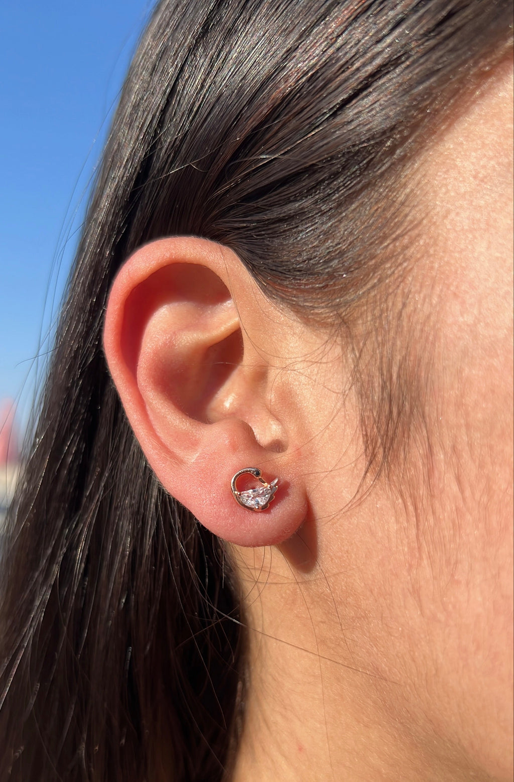 Swan Studs