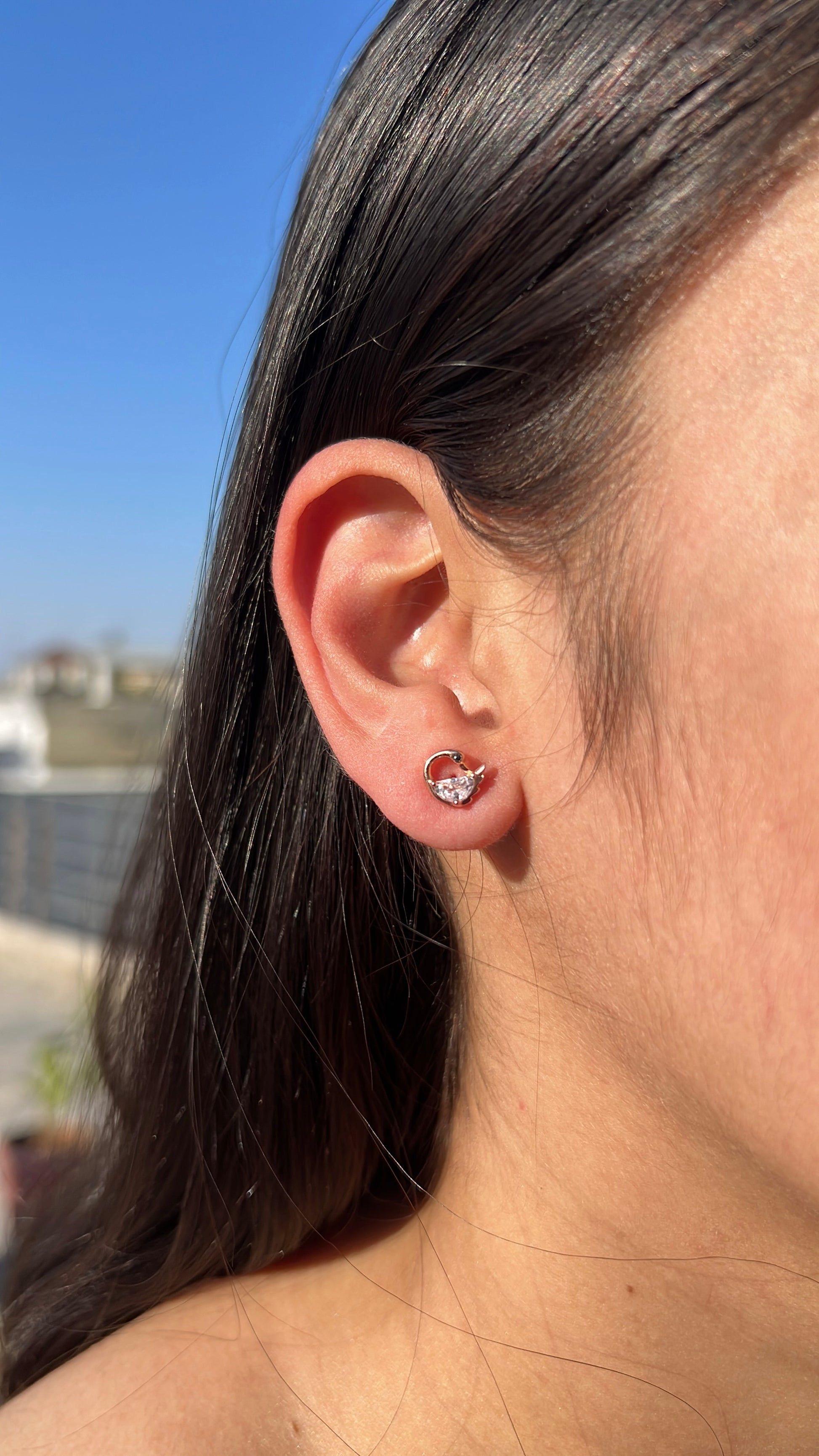 Swan Studs