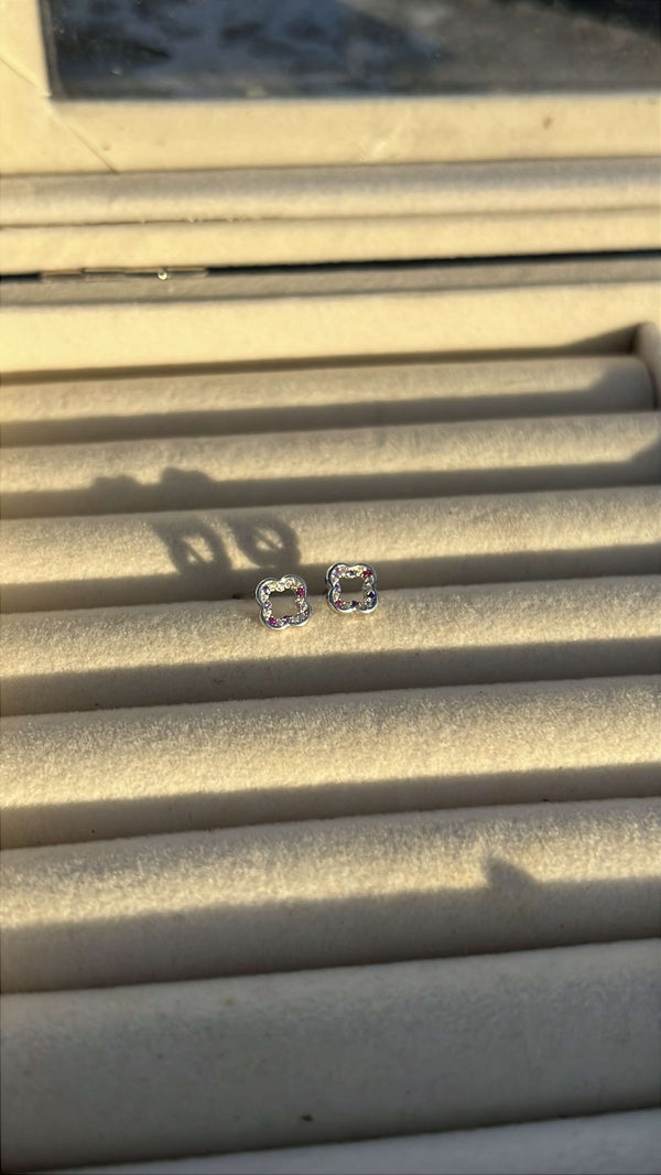Clove Studs